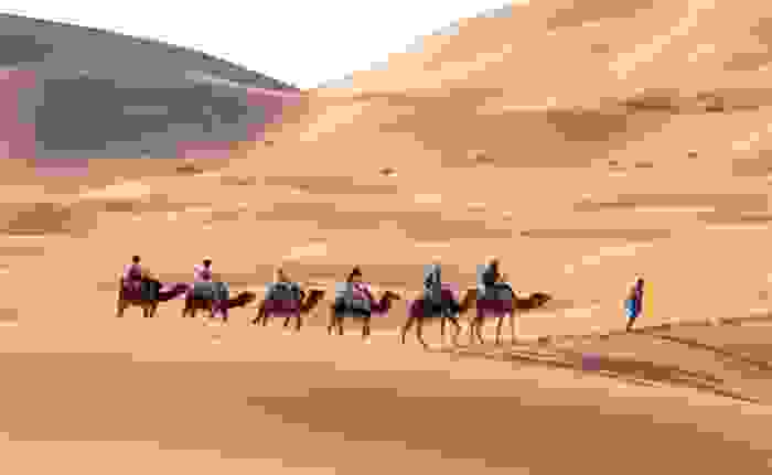 Turistas en camello por el desierto del Sahara