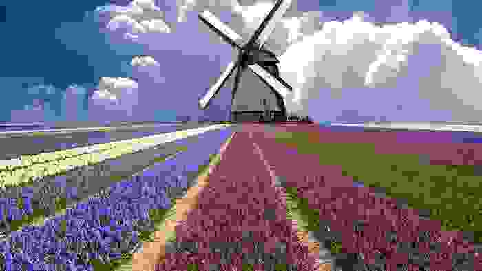 Molino de viento típico holandés